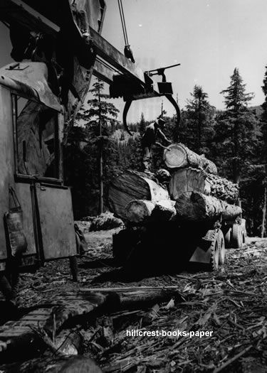 Pinchot Forest Johnson Creek Logging Co Log Truck wash  