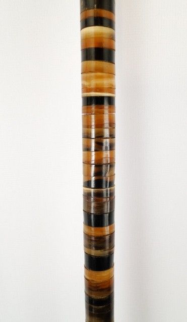 Antique 19C. Stacked Rare Cow Horn Walking Stick Cane  