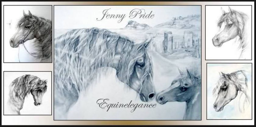 Arabian Horse Equine Majesty Art Graphite Drawing Print NEW Jenny 