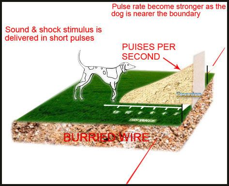  fencing system is the most reliable, humane & cost efficient pet 