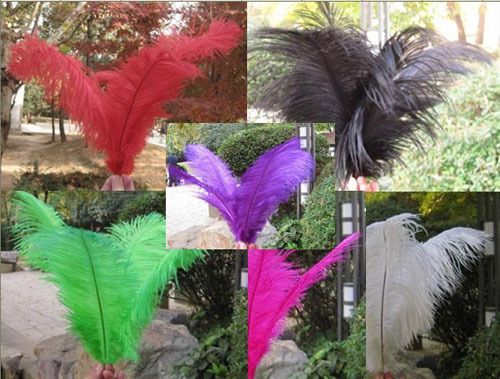   Quality Natural OSTRICH FEATHERS 12 14inch Color Selection  