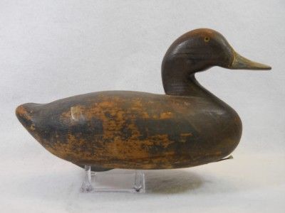 Vintage Blue Bill Hen Working Chesapeake Bay Duck Decoy  