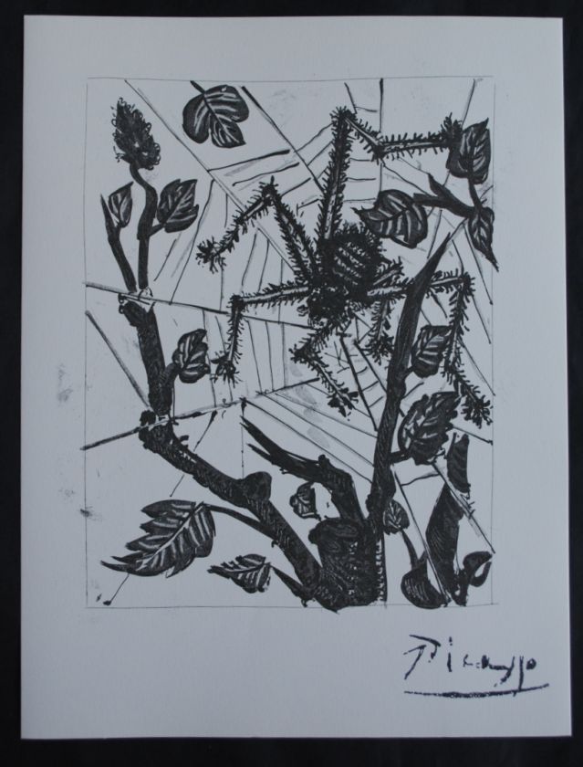 Pablo PICASSO  original SIGNED ETCHING   The Spider # on VELLUM 