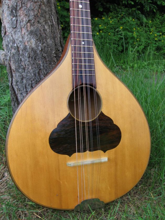 Waldzither   5 course cittern   no mandola bouzouki octave mandolin 