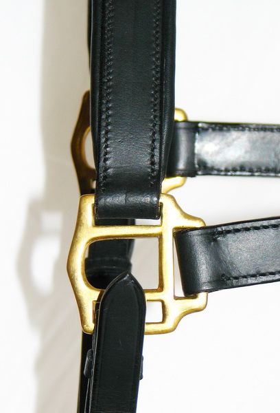 FSS German Leather POSH Classic GOLD BRASS Comfort Padded Show HALTER 