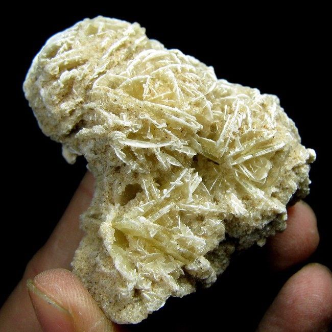 Gypsum Crystal Desert Rose Specimen gygx9ie1666  