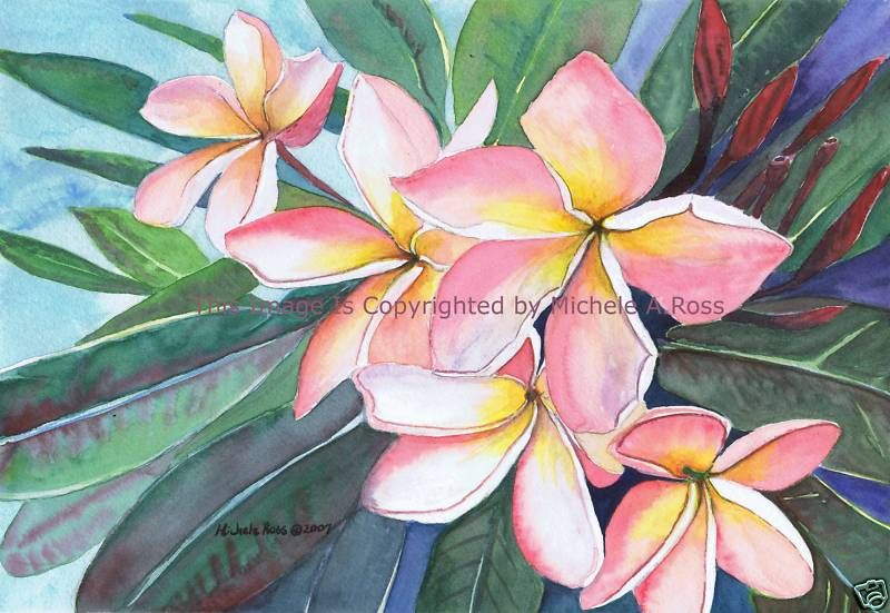 Beautiful Watercolor Painting Hawaii Plumeria Tropical  