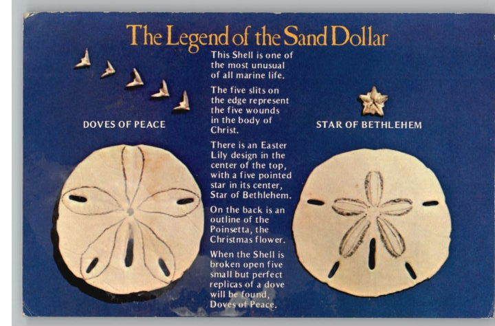 Postcard~The Legend of the Sand Dollar Poem  