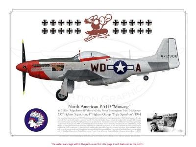   SOLDIER XD 21st CENTURY 1/18th P 51D 335th MUSTANG RIDGE RUNNER MODEL