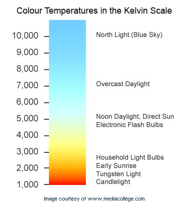 our commitment led lighting is evaluated as the most energy