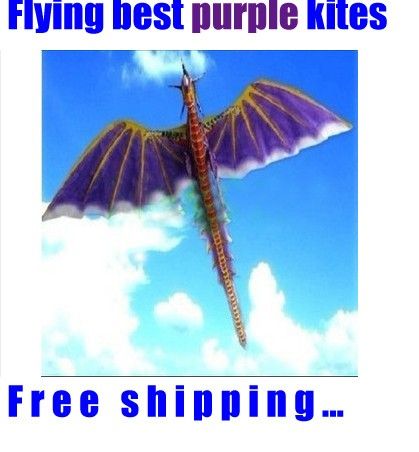   Pterosaur Kite Flying Jurassic Dragon Dinosaur Kite pink kites  